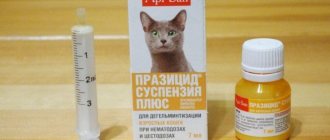 anthelmintic drug