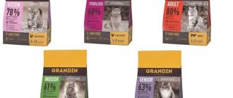 Assortment of dry food Grandin food for cats and kittens
