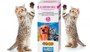 Азинокс для кошек