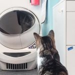 What is a self-cleaning cat litter box?