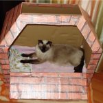 A house for a pregnant cat can be made from any suitable box