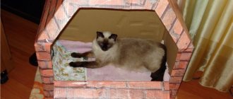 Домик для беременной кошки можно сделать из любой подходящей коробки