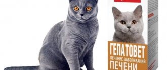 Гепатовет для кошек и котов