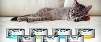 Happy Cat for cats