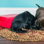 хранение корма