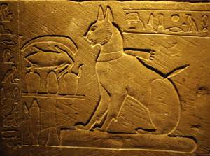 Изображение кошки на саркофаге Тутмоса, сына Аменхотепа III. Фото: Larazoni / Wikimedia Commons.org («Наука и жизнь» №8, 2017)