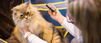 What is the name of the science of cats and what does it do?