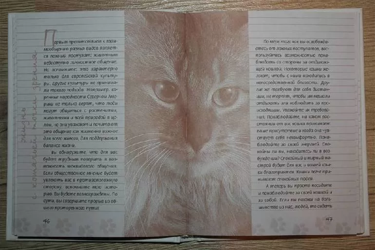Книга про кошку