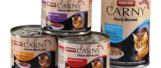canned food.jpg