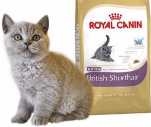 Корм Royal Canine одобрен ветеринарами
