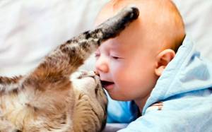 Кот играет с маленьким ребенком