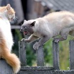 Кровь из носа течет после драки