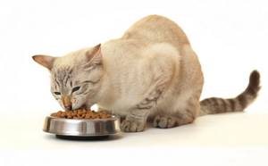 Некоторые линейки готовых кормов предназначены для кошек с повышенным содержанием фосфора