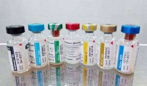 Нобивак - одна их вакцин, использующихся для профилактики заражения кота панлейкопенией