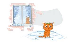 Переохлаждение и обморожение у кошек и собак
