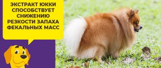 Подробный обзор кормов Брит для собак