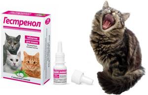 Препарат гестренол для кошек для регуляции половой охоты
