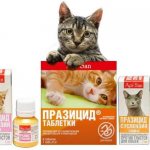 Препараты Празицид для кошек