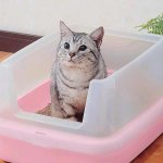 приучение кошки к лотку
