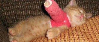 Signs of a fracture