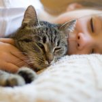 Child hugs a cat