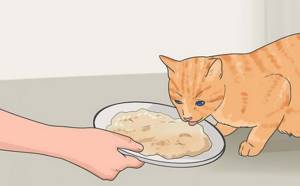 рыбий жир для кошек