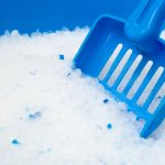 Silica gel cat litter