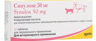 Синулокс 50 мг