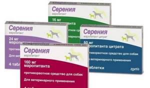 Таблетки Cerenia для кошек