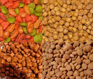 В зависимости от ингредиентов корм может быть разным по цвету и форме