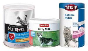 Заменители кошачьего молока состав